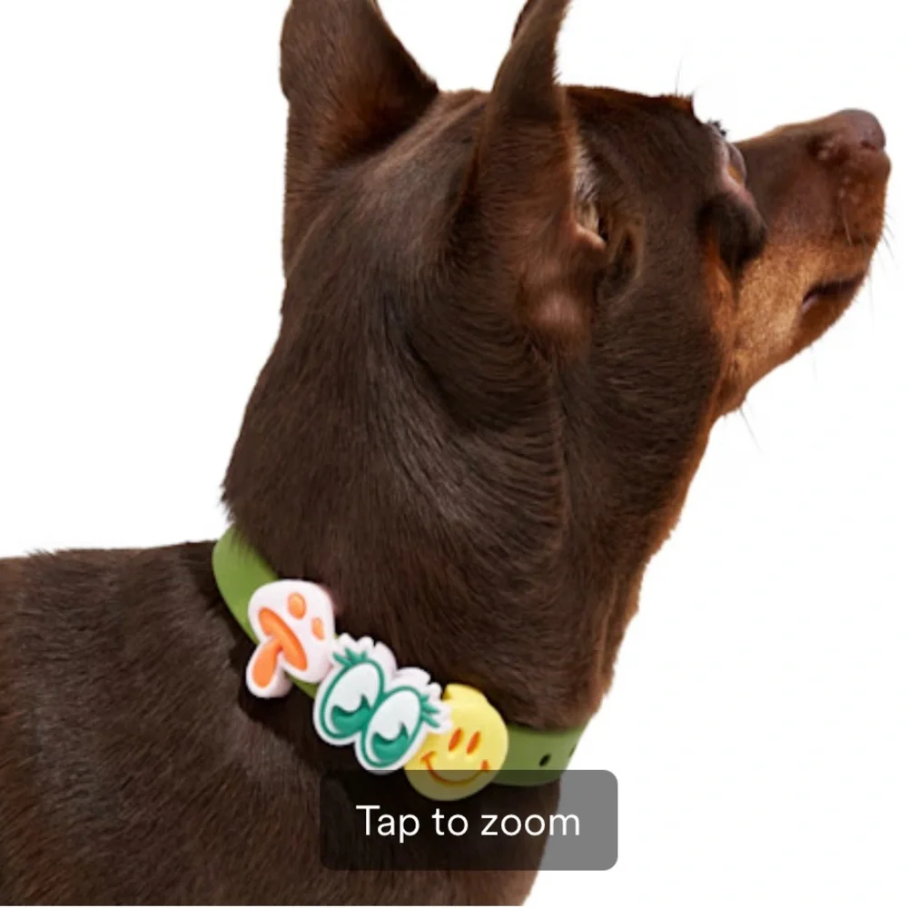 Wild One Leash & Collar Flair charms XS/S Mini